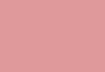 wp4884f91b.png